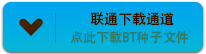 美国往事_美国往事免费剧情高清电影BT种子下载